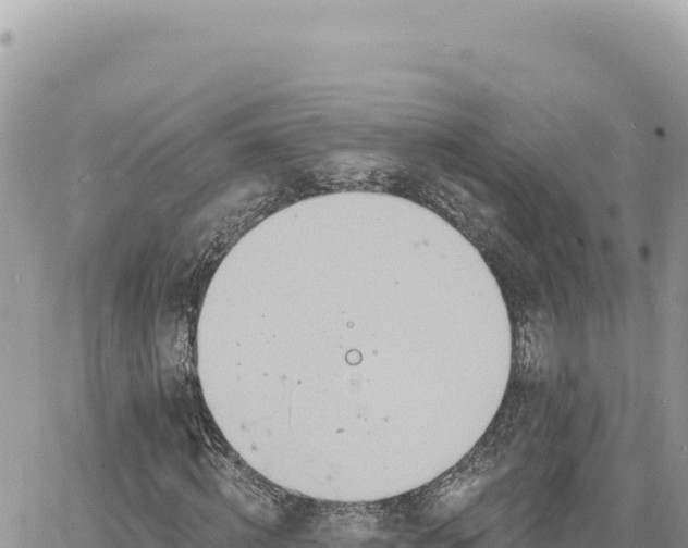 X0000060760820200511171145