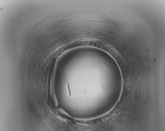 X0000060760821200511171145