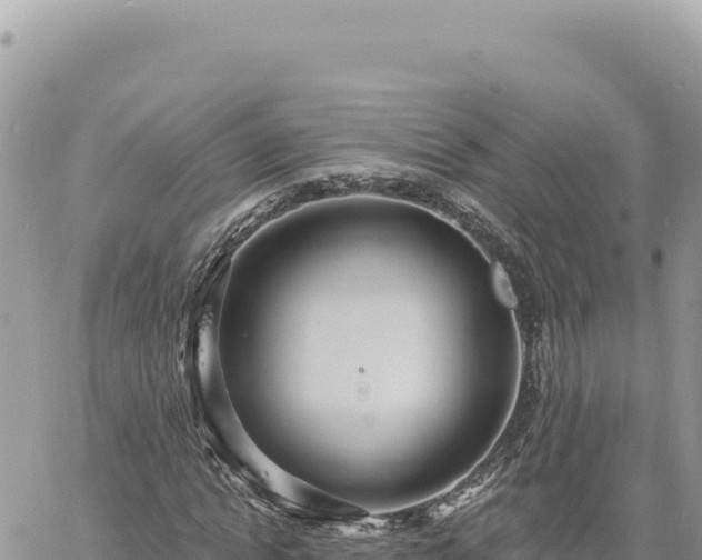 X0000060760822200511171145