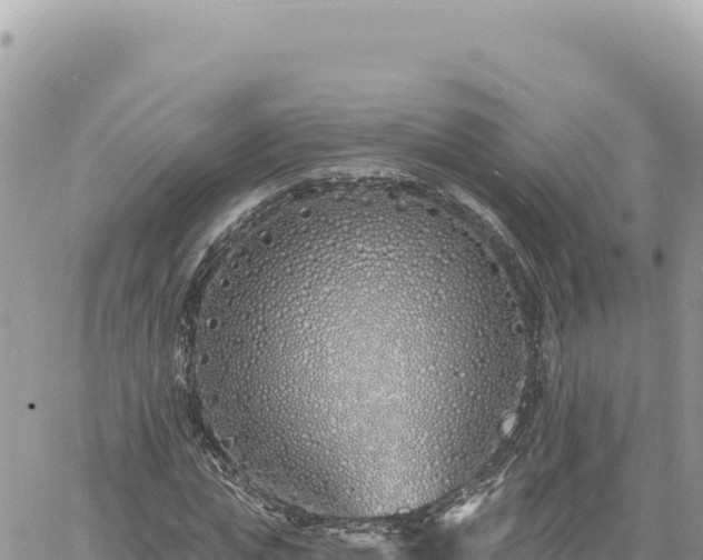 X0000060760823200511171145