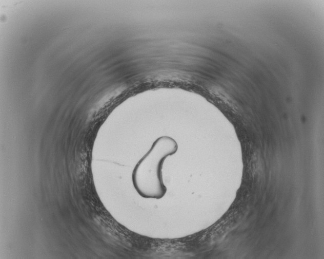 X0000060760824200511171145