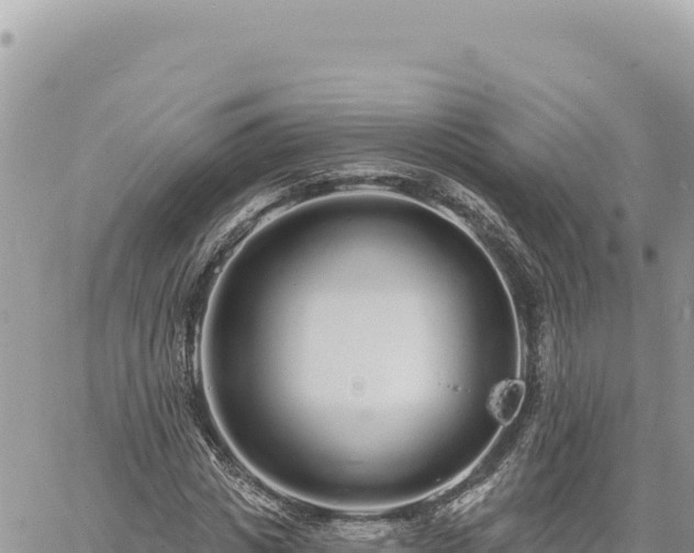 X0000060760825200511171145