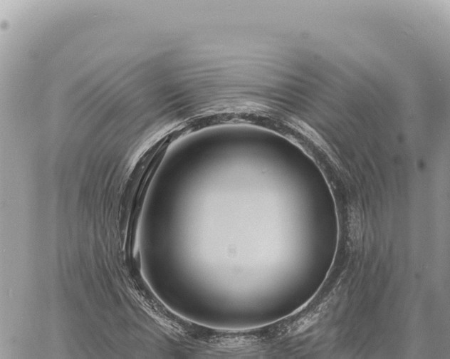 X0000060760826200511171145