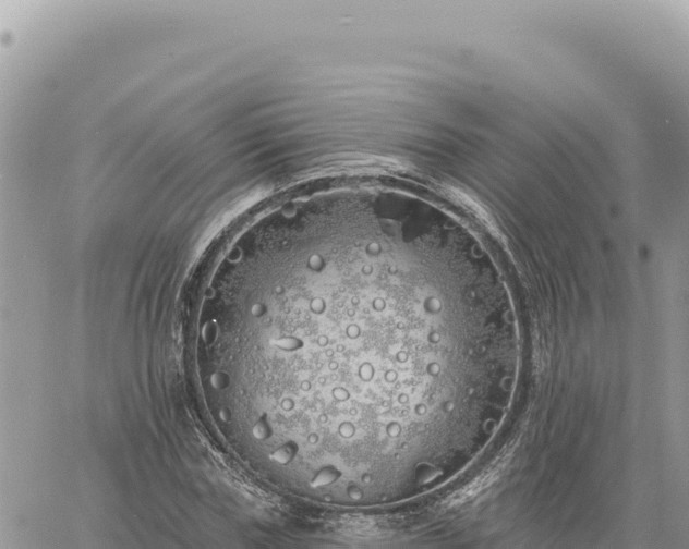 X0000060760827200511171146