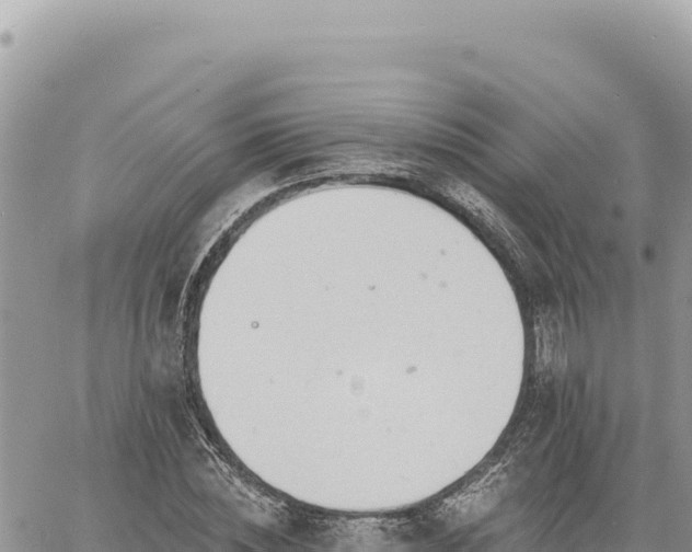 X0000060760828200511171146