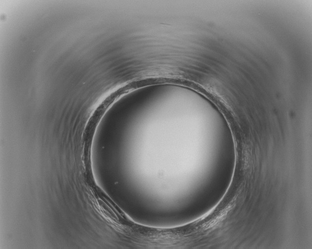 X0000060760830200511171146