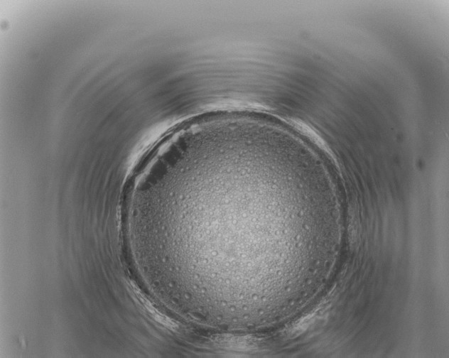 X0000060760831200511171146