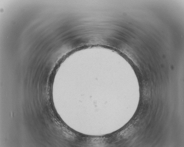 X0000060760832200511171146