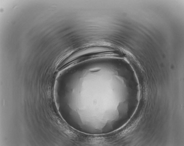 X0000060760833200511171146