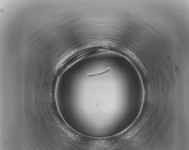 X0000060760834200511171146