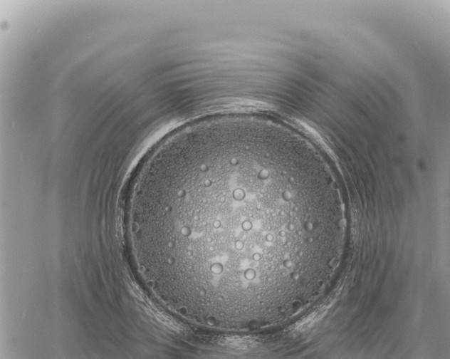 X0000060760835200511171146