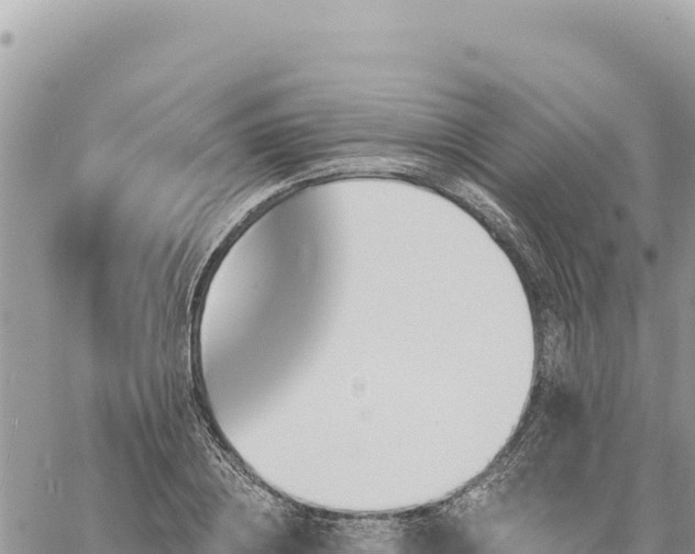 X0000060760836200511171146