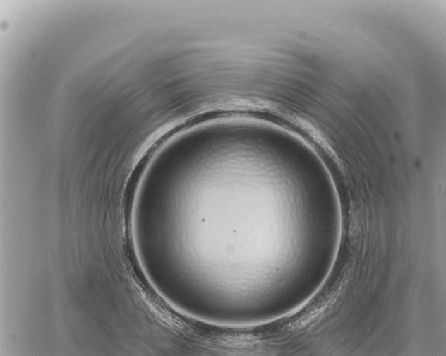 X0000060760837200511171146