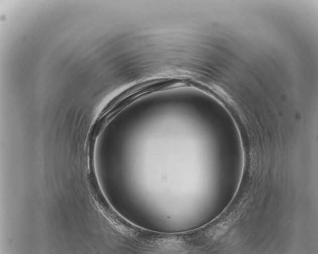 X0000060760838200511171146