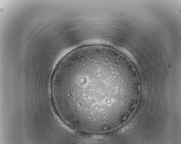 X0000060760839200511171146