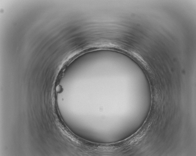 X0000060760840200511171146