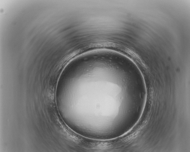 X0000060760841200511171146