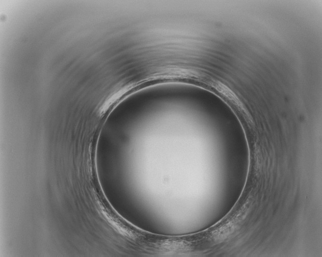 X0000060760842200511171146