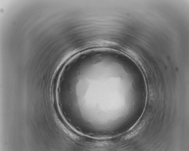 X0000060760843200511171146