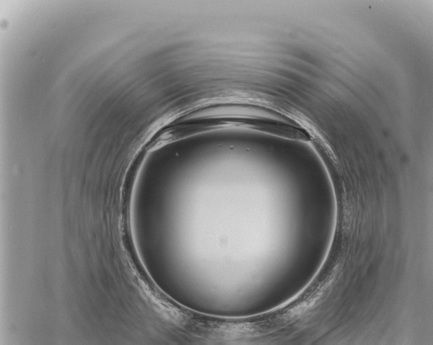 X0000060760845200511171146