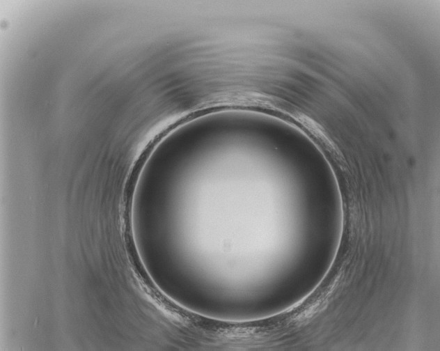 X0000060760846200511171146