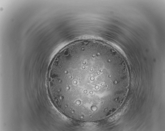 X0000060760847200511171146