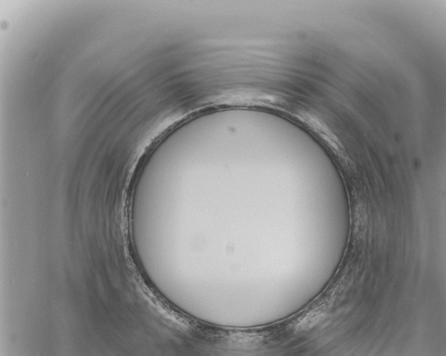 X0000060760848200511171146