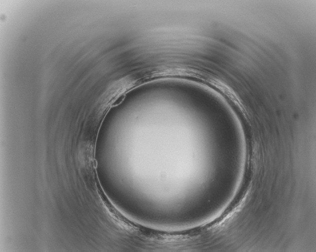 X0000060760849200511171146