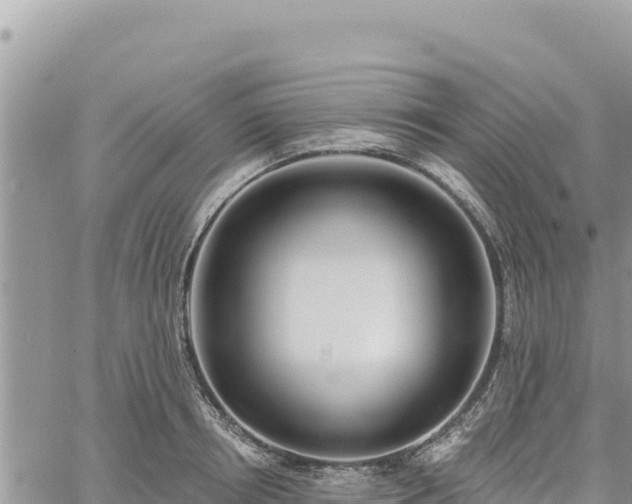 X0000060760850200511171146