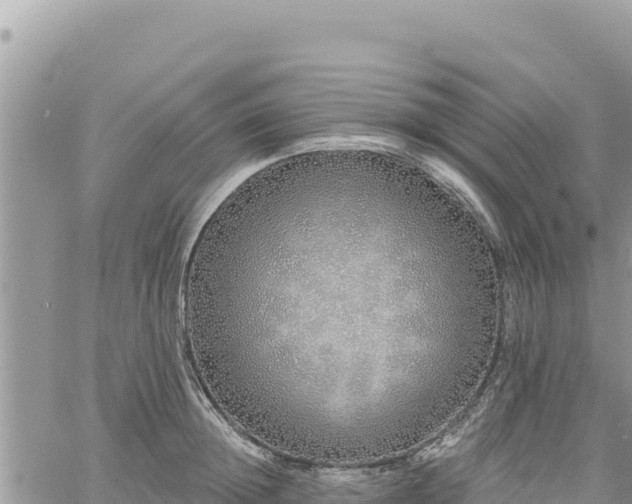 X0000060760852200511171146