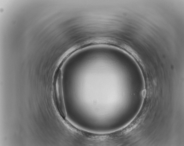 X0000060760853200511171146