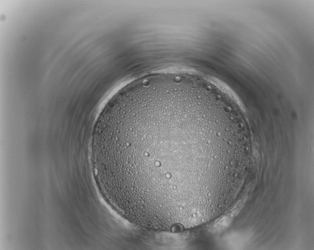 X0000060760855200511171146