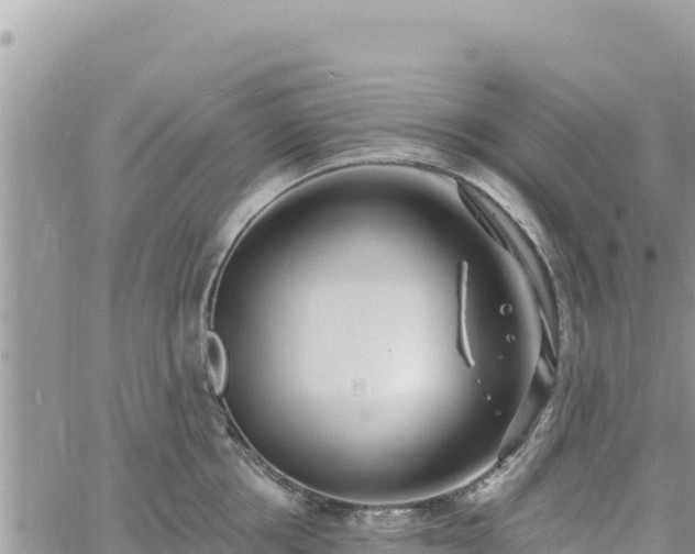 X0000060760858200511171146