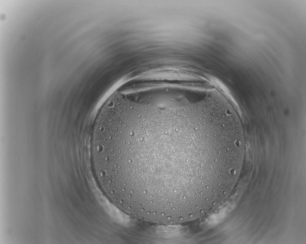 X0000060760859200511171146