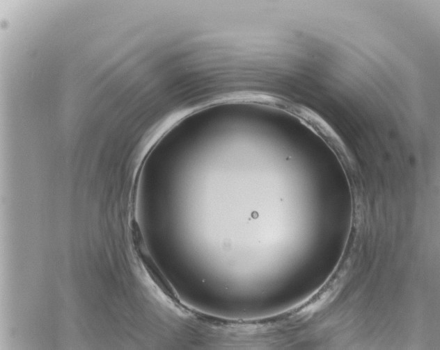 X0000060760860200511171146