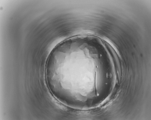 X0000060760861200511171146