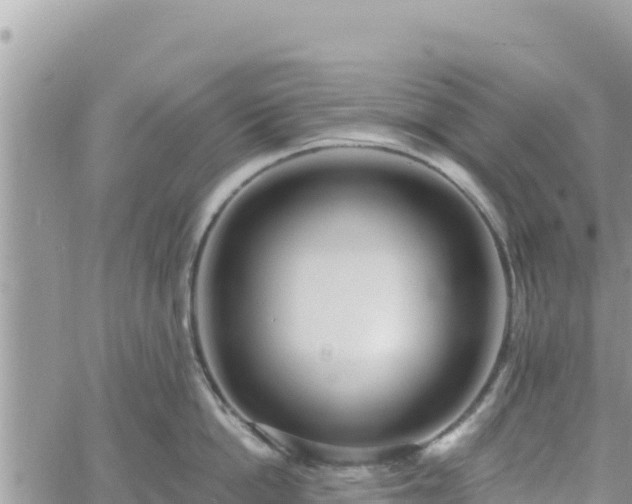 X0000060760862200511171146