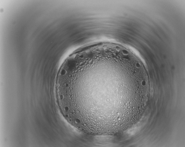 X0000060760863200511171146