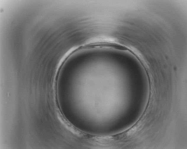 X0000060760864200511171146