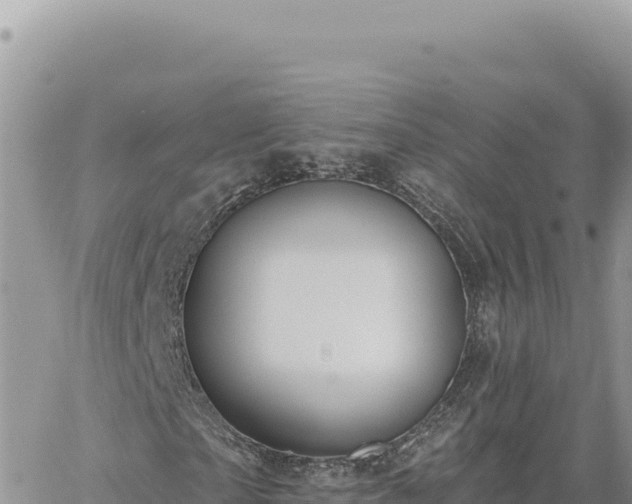 X0000060760865200511171145