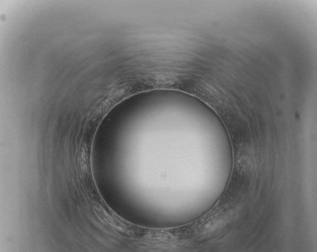 X0000060760866200511171145