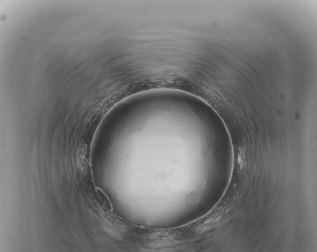 X0000060760867200511171145