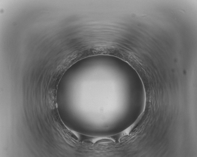 X0000060760868200511171145