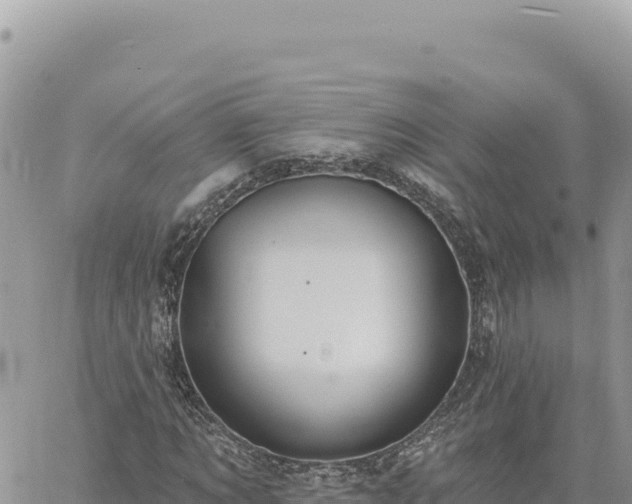 X0000060760869200511171145