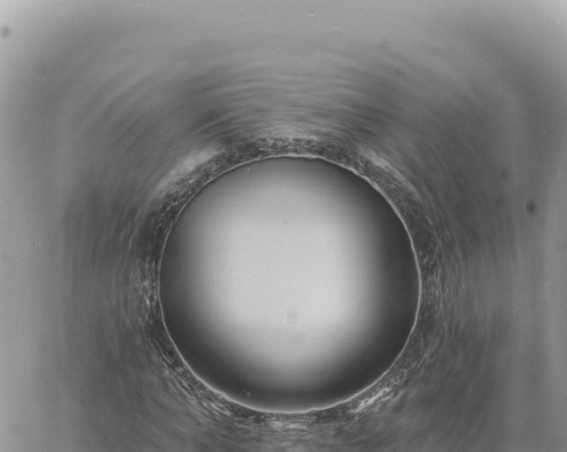 X0000060760870200511171145