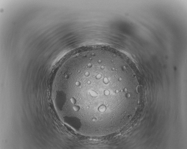 X0000060760871200511171145