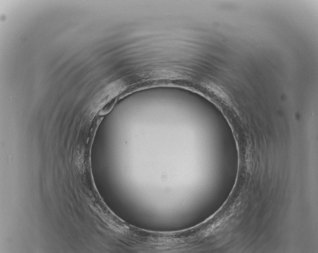 X0000060760873200511171145