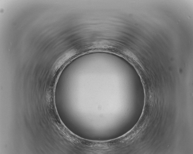 X0000060760874200511171145