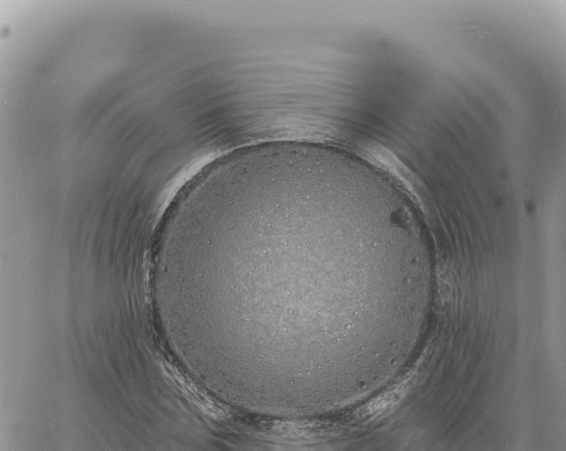 X0000060760875200511171145