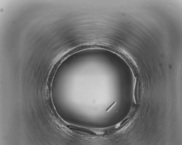 X0000060760876200511171145